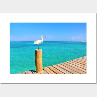 Snowy Egret at the Ocean Pier Posters and Art